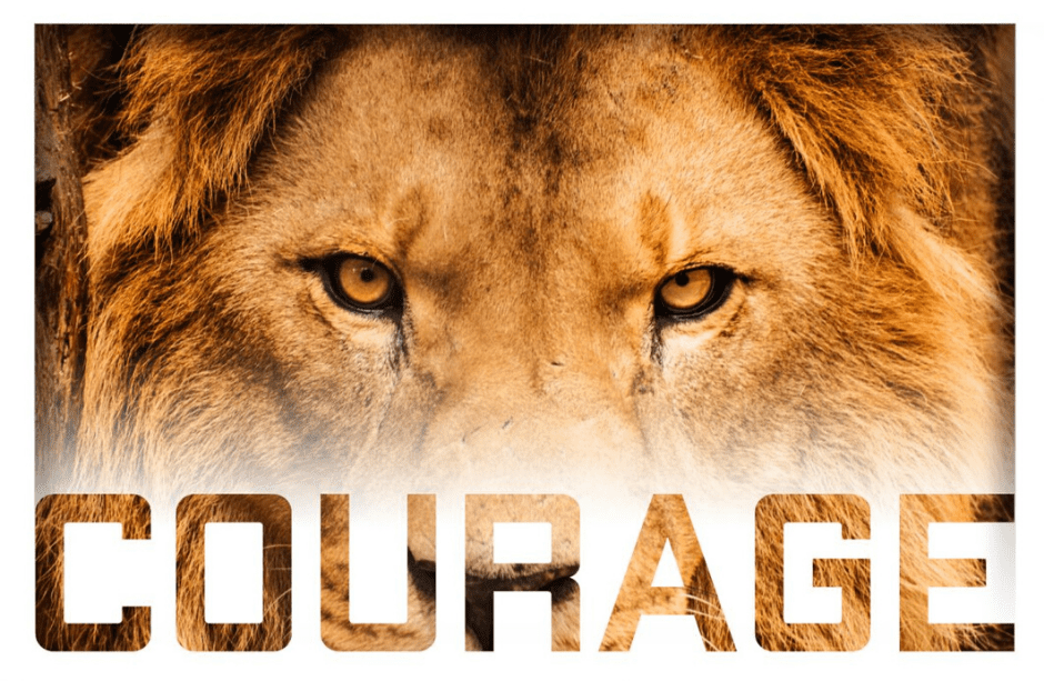 How Do We Find the Courage to be Vulnerable, to be Brave, to Dare Greatly?